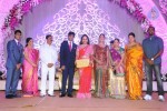 Saikumar Daughter Wedding Reception 03 - 71 of 87