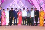 Saikumar Daughter Wedding Reception 03 - 87 of 87