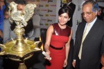 Samantha at 61st Idea Filmfare Awards 2013 PM - 38 of 152
