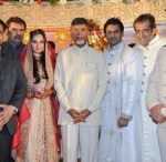 Sania Mirza Reception Photos - 2 of 6