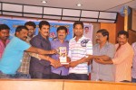 Saradaga Ammaitho Platinum Disc Function - 70 of 76