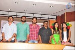 Saradaga Ammaitho Press Meet - 17 of 41