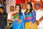 Saradaga Kasepu Movie Audio Launch Stills - 50 of 43