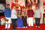 Saradaga Kasepu Movie Audio Launch Stills - 28 of 43