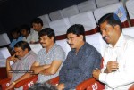 Saradaga Kasepu Movie Audio Launch Stills - 29 of 43
