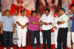 Saradaga Kasepu Movie Audio Launch Stills - 38 of 43