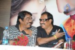 Saradaga Kasepu Movie Success Meet Photos - 6 of 58