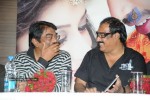 Saradaga Kasepu Movie Success Meet Photos - 30 of 58