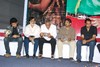 Sarai Veerraju Audio Release Function - 12 of 15