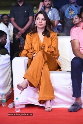 Sarileru Neekevvaru Pre Release Event 06 - 157 of 179
