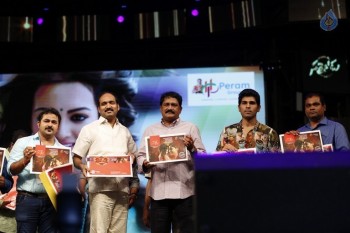 Sarrainodu Audio Success Celebrations 5 - 45 of 75