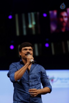 Sarrainodu Audio Success Celebrations 5 - 58 of 75
