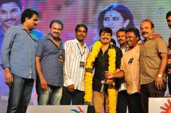 Sarrainodu Blockbuster Function 3 - 3 of 42