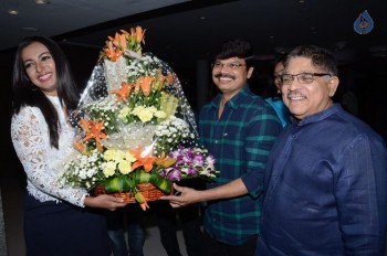 Sarrainodu Movie Success Meet 1 - 18 of 63