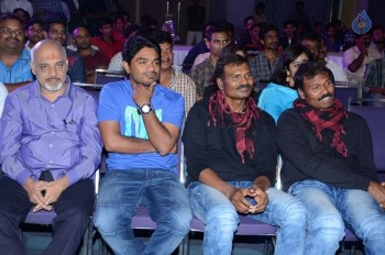 Sarrainodu Movie Success Meet 2 - 17 of 84