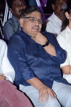 Sarrainodu Movie Success Meet 2 - 37 of 84