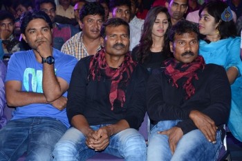 Sarrainodu Movie Success Meet 2 - 53 of 84