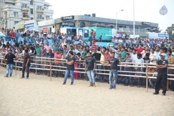 Sarrainodu Audio Success Celebrations 1 - 29 of 31