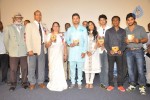 Savior Movie Audio Launch - 17 of 43