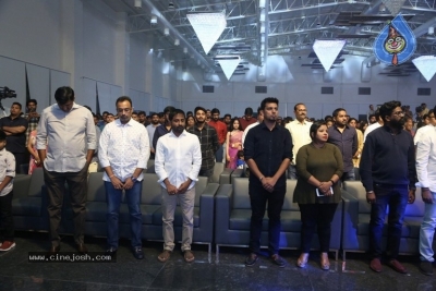 Savyasachi Pre Release Event 01 - 12 of 21