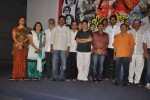 Seema Tapakai Movie Success Meet - 20 of 34