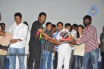 Seema Tapakai Movie Triple Platinum Disc Function - 16 of 88