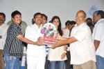 Seema Tapakai Movie Triple Platinum Disc Function - 52 of 88