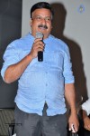 Seenugadi Love Story Audio Launch - 44 of 109