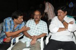 Seenugadi Love Story Trailer Launch - 39 of 75