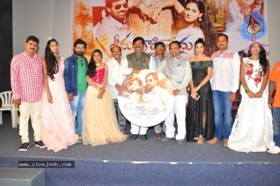 Seenugadi Prema Movie Audio launch - 13 of 17
