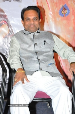 Seenugadi Prema Movie Audio launch - 16 of 17