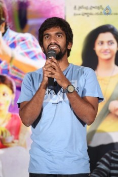 Seethamma Andalu Ramayya Sitralu Success Meet - 14 of 17