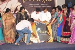 Seethavalokanam Poster Launch - 63 of 64