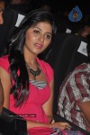 Settai Tamil Movie Audio Launch - 5 of 45