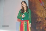 Shakti Movie Audio Launch Photos  - 153 of 211