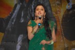 Shakti Movie Audio Launch Photos  - 200 of 211
