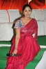 Telugu Cinema Shankam Audio Release Function Photos -  Prabhas - Gopi chand - Trisha - 4 of 86