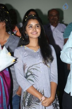 Shatamanam Bhavathi Platinum Disc Function 1 - 28 of 42