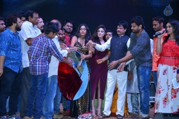 Shekaram Gari Abbayi Audio Launch - 5 of 33
