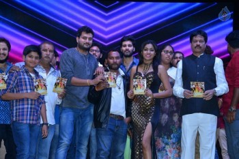 Shekaram Gari Abbayi Audio Launch - 9 of 33
