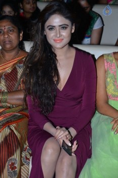 Shekaram Gari Abbayi Audio Launch - 13 of 33