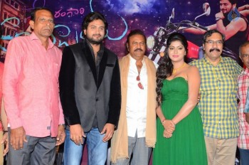 Shekaram Gari Abbayi First Look Launch - 16 of 41