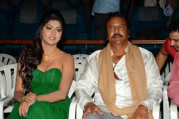 Shekaram Gari Abbayi First Look Launch - 22 of 41