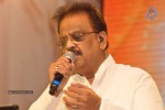 Shirdi Sai Movie Audio Launch 01 - 188 of 190