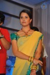 Shirdi Sai Sangeetha Vajrotsavam 03 - 29 of 110