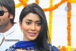 Shri Shailendra Cinemas Production no. 3 Movie Opening - 43 of 72