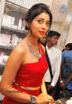 Shriya at Wings of Fantasy Launch - 23 of 33