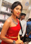 Shriya at Wings of Fantasy Launch - 2 of 33