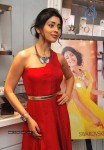 Shriya at Wings of Fantasy Launch - 33 of 33