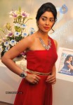 Shriya at Wings of Fantasy Launch - 16 of 33